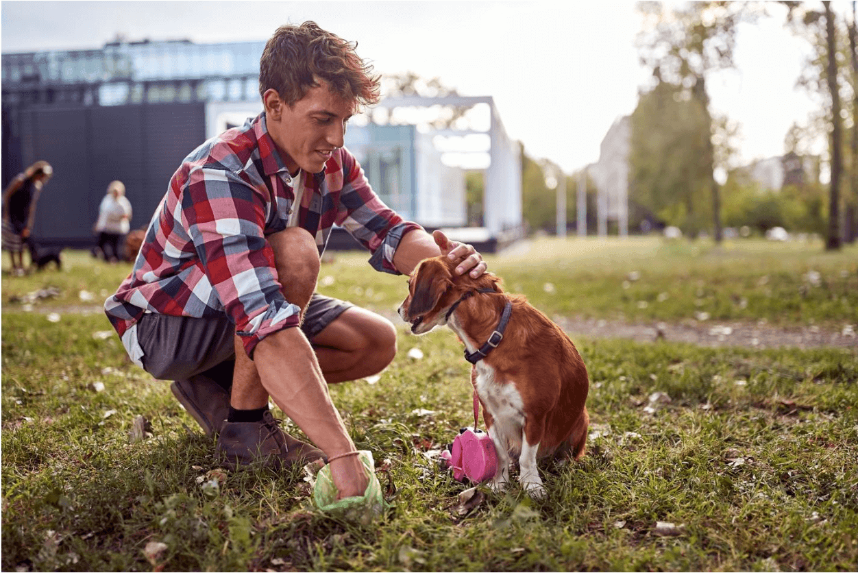 Why do dogs eat poop? - James Wellbeloved UK